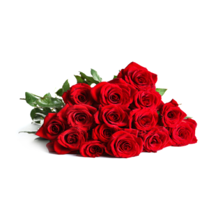1-Dozen Red Roses